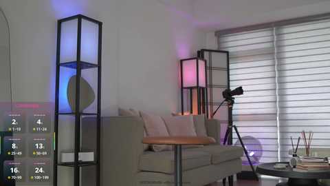 Video of a modern, minimalist living room with a beige sofa, black metal floor lamp, and white blinds. A small black tripod camera sits on the floor.