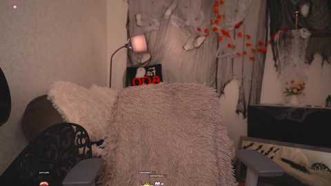 A video of a cozy, dimly lit room featuring a bed with a fluffy white blanket, a black cat, a \"ROXY\" sign, and a white lace curtain with red flowers.