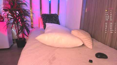 Video of a modern, minimalist bedroom with a beige bedspread, two large white pillows, a black stone pillow, a black phone, and a potted plant. Pink and purple lighting casts a soft glow on the walls.