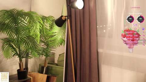 Video of a cozy indoor corner featuring a large potted palm, a modern desk lamp, and a colorful, floral-themed wall decal.