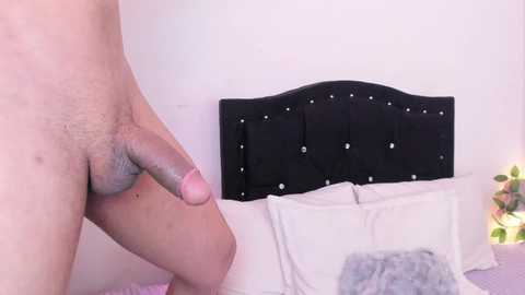 Video of a naked man with a circumcised erect penis, standing in front of a black tufted headboard in a pastel-colored bedroom.