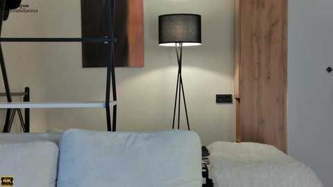 Media: Video of a modern living room with a black floor lamp, white couch, beige wall, and wooden door.