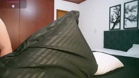 Video of a person in a bed, covered by a dark green blanket with a white pillow. The room features wooden walls, a dark green headboard, and two black-and-white framed artworks.