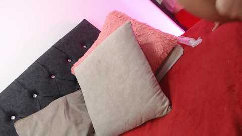 Media: Video of a plush, tufted gray sofa with multiple decorative pillows in shades of beige, pink, and red, set against a pink and red lit background.