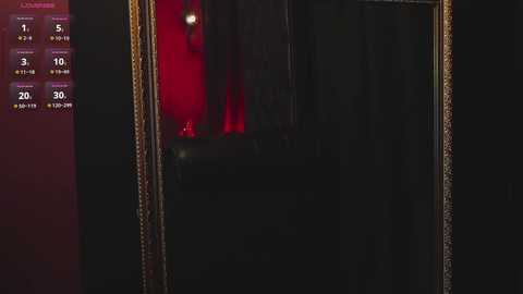 Video of a dimly lit room with a large, ornate gold-framed mirror reflecting a shadowy figure in the background, illuminated by a red light. The scene has a mysterious and eerie ambiance.