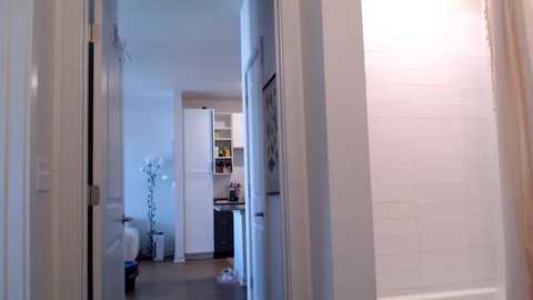 Video of a narrow hallway with white walls and doors leading to a kitchen with white cabinets, countertops, and appliances. The floor is wooden, and a tall plant stands near the entrance.