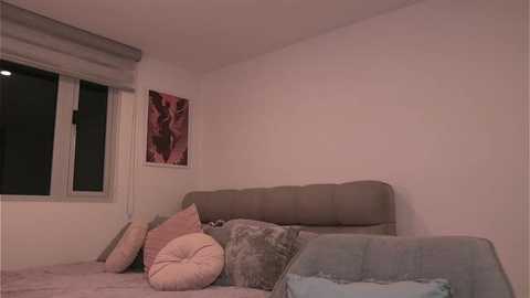 Video of a cozy, dimly lit bedroom with a soft pink and beige color scheme. A bed with a tufted headboard features a plush, light grey blanket and several decorative pillows. A window with a roman shade is on the left, and a framed abstract art piece hangs on the white wall.
