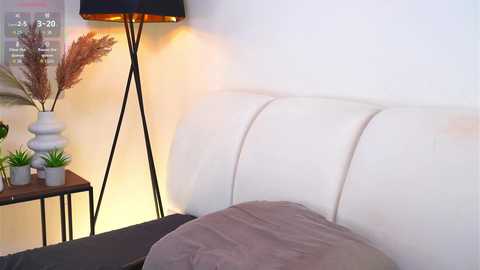 Video of a modern bedroom with a white leather headboard, beige blanket, black metal side table, white vase, potted plants, and a tall black floor lamp with a warm glow.
