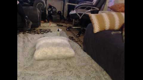 Video of a messy living room with a beige cat bed, a dark couch, a rug, and scattered toys and objects on the floor.
