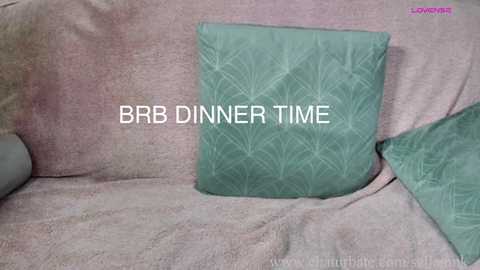 A video of a beige couch with a green, patterned cushion and another green pillow in the background. Text reads \"BRO DINNER TIME.\