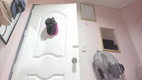 Video of a white door with a black and pink bag hanging from a hook, a fan on the right, and a framed mirror on the wall in a room with pastel pink walls.
