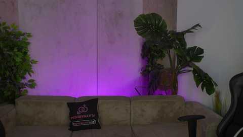 Video of a modern living room with a beige couch, a black pillow with white text, and green plants under purple LED lighting on a concrete wall.