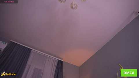Media: Video of a room ceiling with a light fixture, showing a beige wall and a window with dark curtains. The image is accompanied by a green DMC logo.