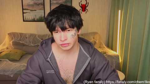 Video of a young Asian man with dark hair, wearing a gray hoodie, sitting in a dimly lit living room with a spider decoration on the wall.