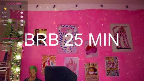 Video of a pink bedroom wall adorned with posters, featuring a green-haired figure, and text \"BRR 25 MIN.\