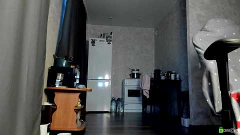 Video of a dimly lit, minimalist kitchen with gray walls, a white fridge, wooden shelves, and a black countertop. A white sink and stove are visible in the background.