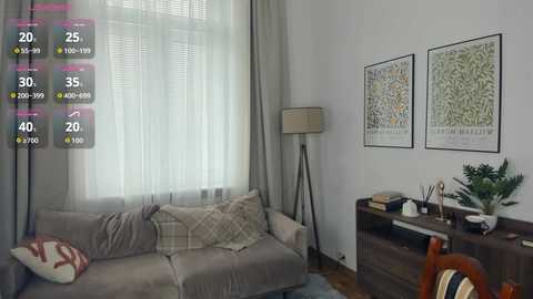 Media: A video of a modern, minimalist living room with a gray sofa, white curtains, a dark wood side table, and two framed botanical prints on a white wall.