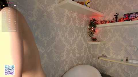 Video of a nude person's back and buttocks, viewed from the side, in a dimly lit room with white wallpaper, shelves holding toys, and a white chair.