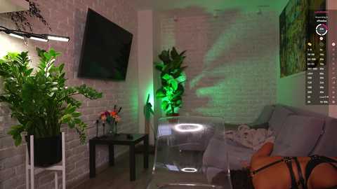 A video of a dimly lit, modern living room with a grey couch, green plants, and a TV on the brick wall.