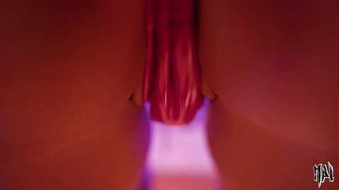 Video of a close-up of a human anus, with visible red and purple tones, emphasizing the texture and detail of the skin and surrounding area.