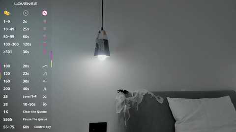 Video of a dimly lit bedroom with a grey headboard, a single hanging light bulb, and a white pillow. A digital interface with camera settings and instructions is visible on the left.