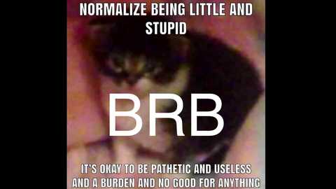 Video of a blurred, dark-haired person with a distraught expression, overlaid with text: \"Normalizing Being Little And Stupid\" in white, \"BBR\" in bold, \"It's okay to be pathetic and useless and a burden and no good for anything.\