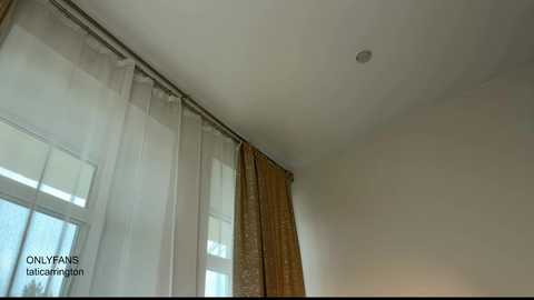 Video of a minimalist room with a white ceiling, large windows covered by sheer white curtains, and a single, ornate gold curtain on the right.