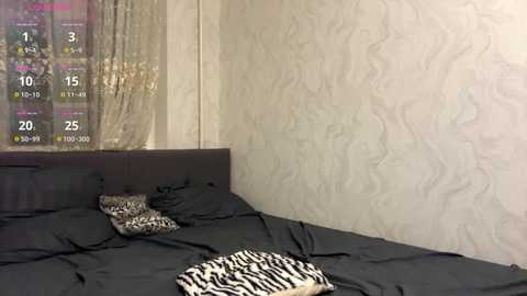 Video of a modern bedroom with a black bedspread, a zebra-patterned throw blanket, and a beige textured wall. A digital clock displays 2:25.