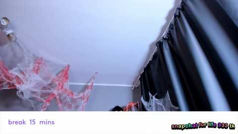 Media: A video shows a ceiling decorated with spider webs, including a large, dangling spider. The room has gray walls and a black curtain. The image is accompanied by a watermark and a \"break 15 mins\" caption.