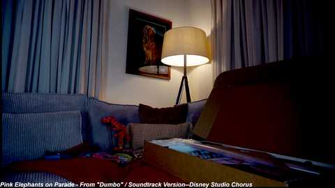 Video of a dimly lit, cozy living room with a large, beige lamp casting a warm glow. A striped sofa and a red throw blanket are visible, along with a framed picture and a partially opened box of chocolates.