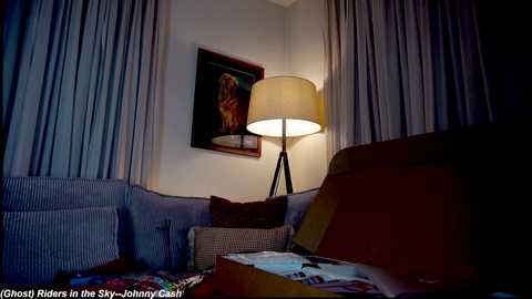 Video of a dimly lit, cozy corner of a room featuring a wicker sofa, a large table lamp, and a framed painting on a white wall.