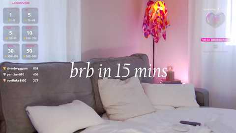 Video of a modern bedroom with a gray upholstered bed, white pillows, and a pink floral lampshade. A digital clock displays \"bribin15 mins\" on the left.
