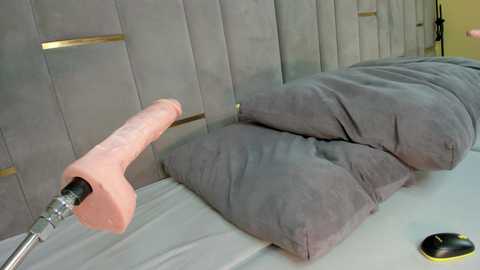 Media: Video of a hospital bed with a grey, plush blanket and a pink, lifelike prosthetic penis attached to the bedrail, in a sterile, institutional setting.