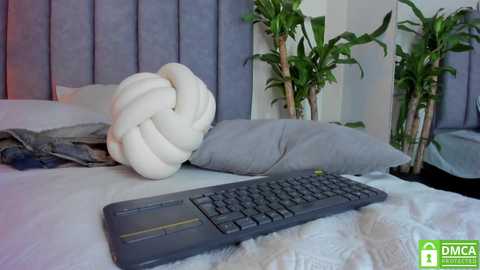 Video of a modern bedroom featuring a white, knotted pillow, grey keyboard, grey pillows, and potted plants, set against a tufted, light blue headboard.