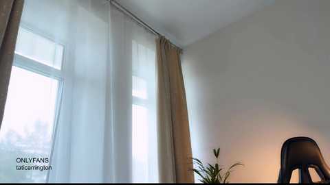A video of a minimalist bedroom with large windows draped in sheer white curtains, a modern black chair, and a small potted plant on the right.