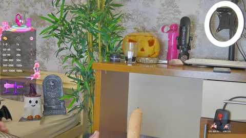 Video of a messy desk with a large dildo, pink vibrator, green plant, and various toys, set against a gray wallpaper background.