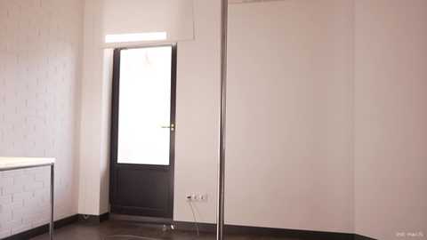 Video of a modern, sparsely furnished room with a white brick wall, a black door with frosted glass, a white countertop, and a silver floor lamp.