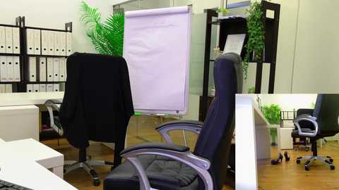 Video of a modern office featuring a whiteboard, black leather chair, white desk, green plants, and white shelving unit.