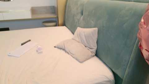 A video of a plush, teal velvet sofa with a light beige cushion, a pen, and a white notepad on the adjacent table. The room's background features a beige wall with a small white shelf and a partially visible pink garment.