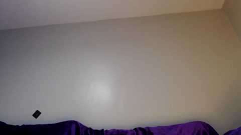 Video of a beige wall with a faint shadow and a small, black object in the top left corner, likely a smartphone. Below, a purple bedspread is visible.