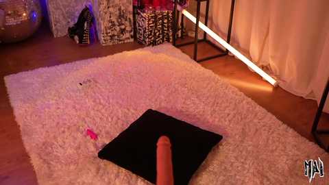 Video of a beige carpeted room with a black square cushion in the foreground and a large, erect dildo on top. Background includes a patterned wall, white curtains, and modern furniture.