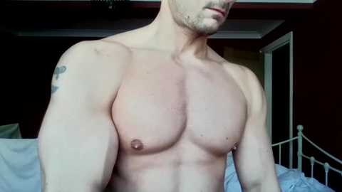 Video of a shirtless, muscular, fair-skinned man with a tattoo on his right shoulder, standing indoors near a bed with white sheets and dark wooden walls.