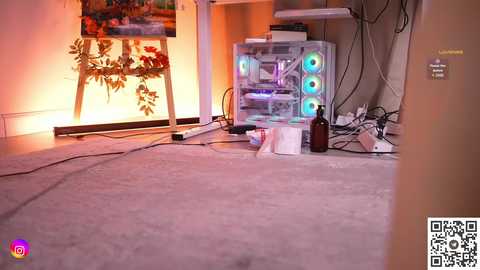 Video of a cluttered room with a beige carpet, a white shelf with four blue and green LED lights, a wooden easel with autumn leaves, a brown bottle, and a QR code in the bottom right corner.