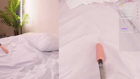 Media: Video of a woman's bare buttocks, positioned on a white bed with a pink vibrator inserted into her anus. A green plant and a window with sunlight are visible in the background.