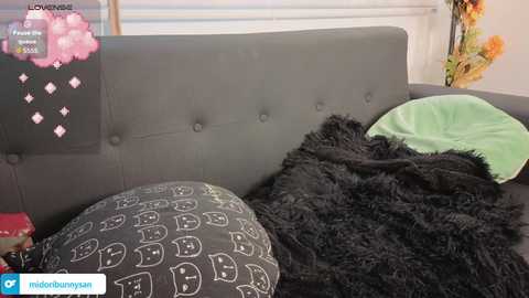 Video of a modern, minimalist bedroom with a grey upholstered headboard, a black and white patterned pillow, a green pillow, and a black faux fur blanket.