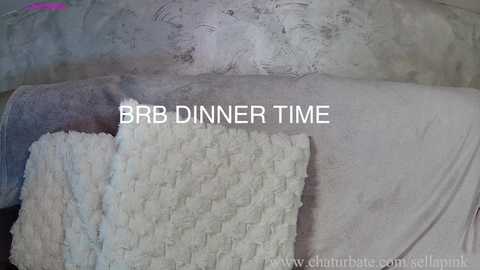 Media: A video showcases a textured, cream-colored rug with a raised, tufted surface. The background features a distressed, pale gray wall with subtle patterns. The words \"BRR DINNER TIME\" are overlaid in bold white text.