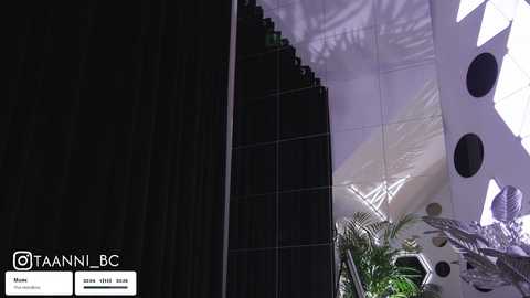 A video of a futuristic, white tent with large, circular cutouts and a black curtain backdrop, featuring a potted plant and a small, round table in the foreground.