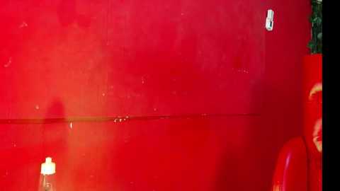 Video of a vibrant red car, glossy and reflective, with a slightly scratched area near the bottom right. A green plant peeks from the right side.