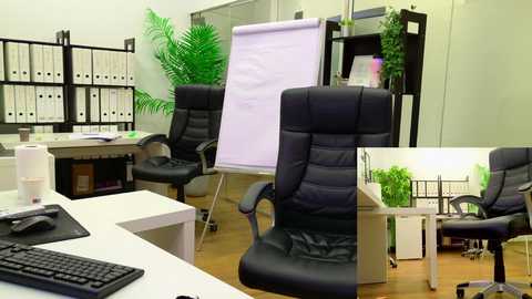 Video of a modern, well-lit office with black leather chairs, white desks, a whiteboard, and green potted plants.