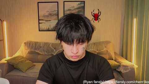 A video of a young man with black hair, wearing a black T-shirt, sitting on a beige sofa. Behind him, two framed paintings and a spider decoration on the wall.